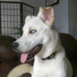 Meet your Posher, Steven